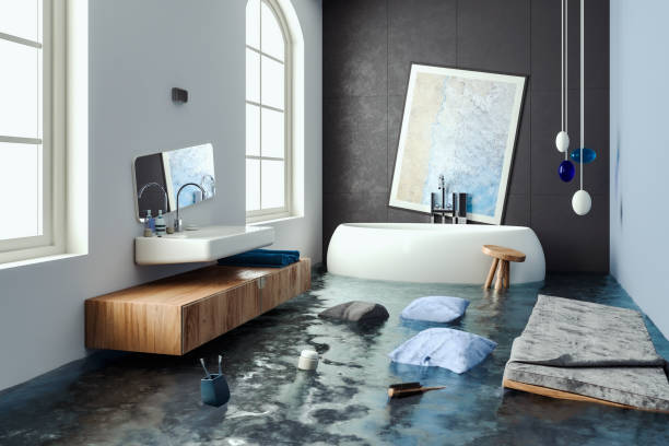 Best Flood restoration services  in Clarkton, MO