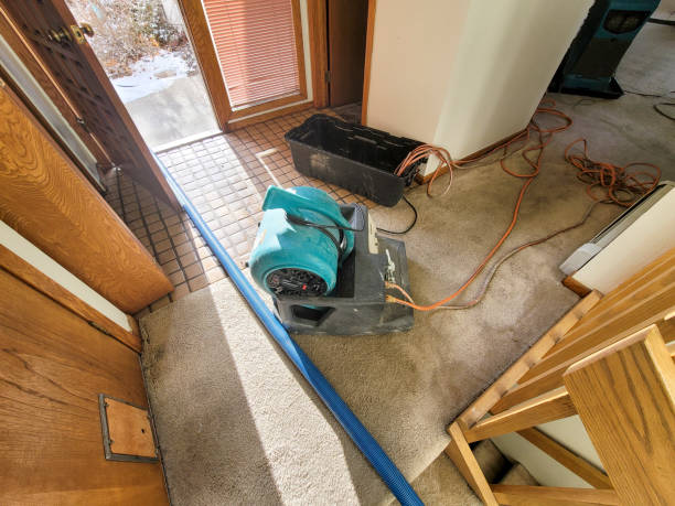 Best Water damage mitigation services  in Clarkton, MO
