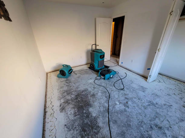 Best Emergency water damage restoration  in Clarkton, MO